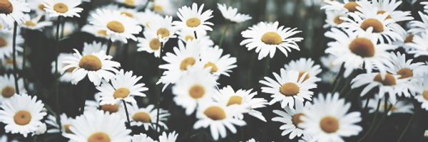 AshleyLds Profile Banner