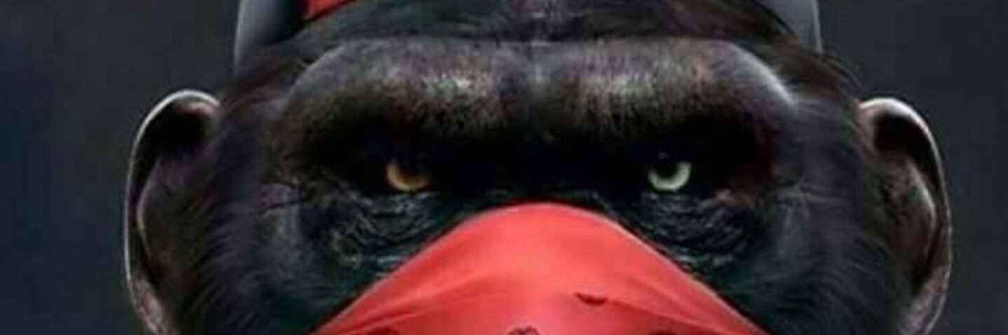shellz_rilla's profile banner image