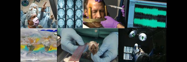 lilafilms Profile Banner