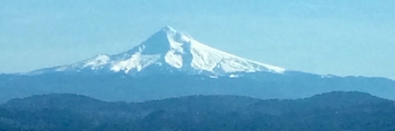 ™️Amy 🇺🇸 banner