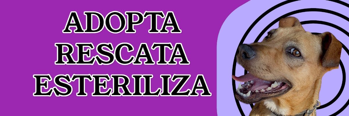 𝙷𝚎𝚕𝚊 𝙼𝚘𝚛𝚎 🐶's banner