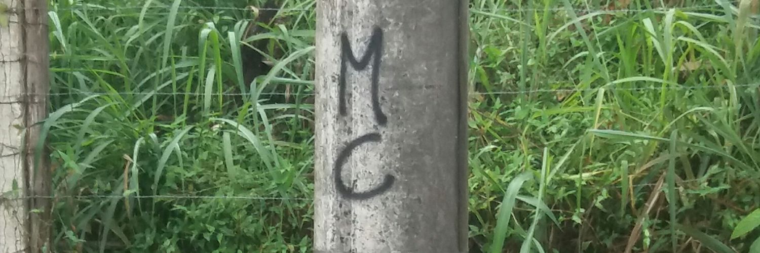 Cardozadaa's profile banner image