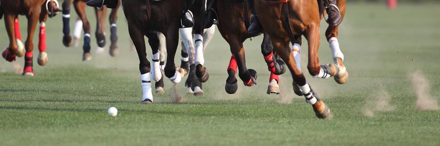 NFPoloSchool's profile banner image