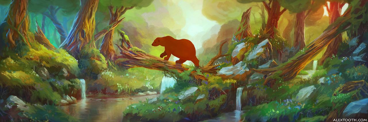 fawda123's profile banner image