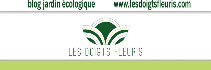 DoigtsFleuris's profile banner image