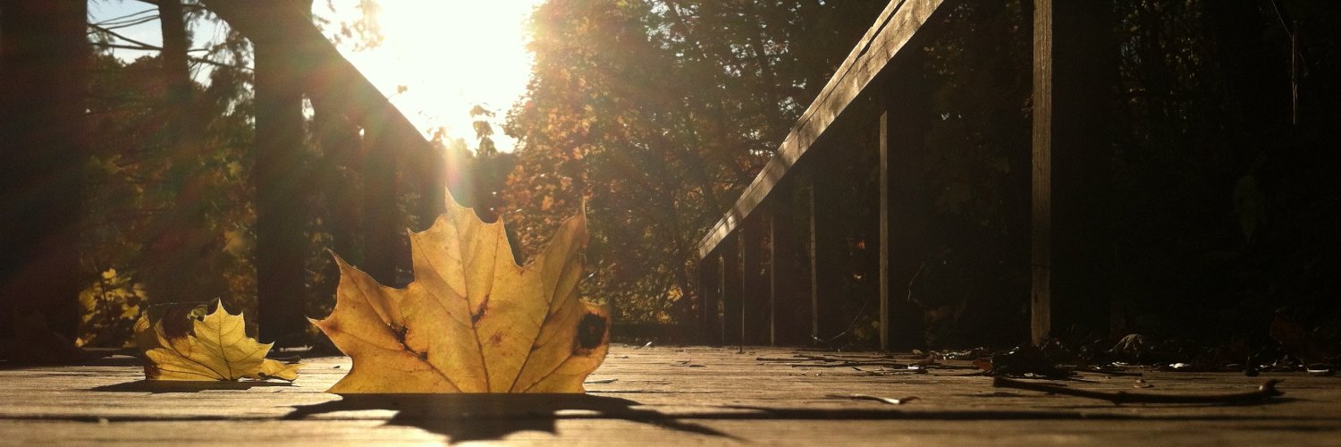 willjstgermain's profile banner image