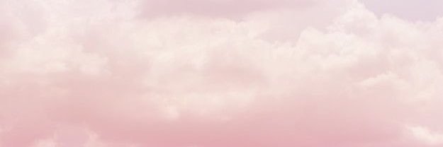 tanyasuda's profile banner image