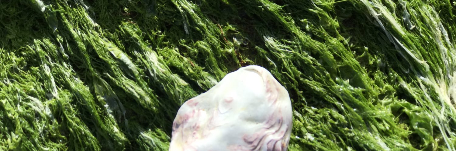 2jayabraham's profile banner image