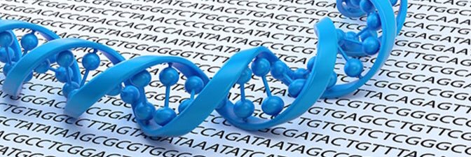 Mark Emalfarb banner