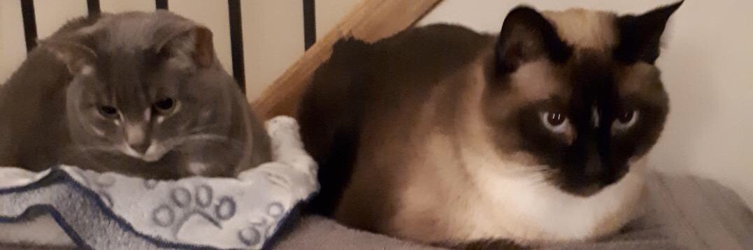 MuddyBuddy186's profile banner image