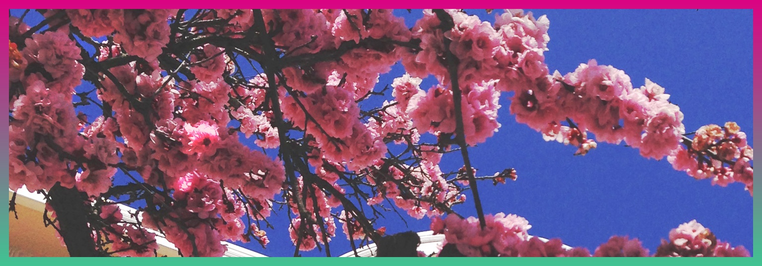 yiyais_'s profile banner image