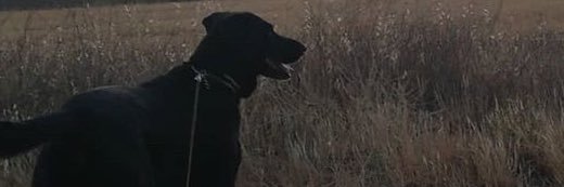 Maariofdeez's profile banner image