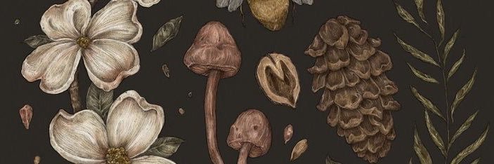 adrianepoiani's profile banner image