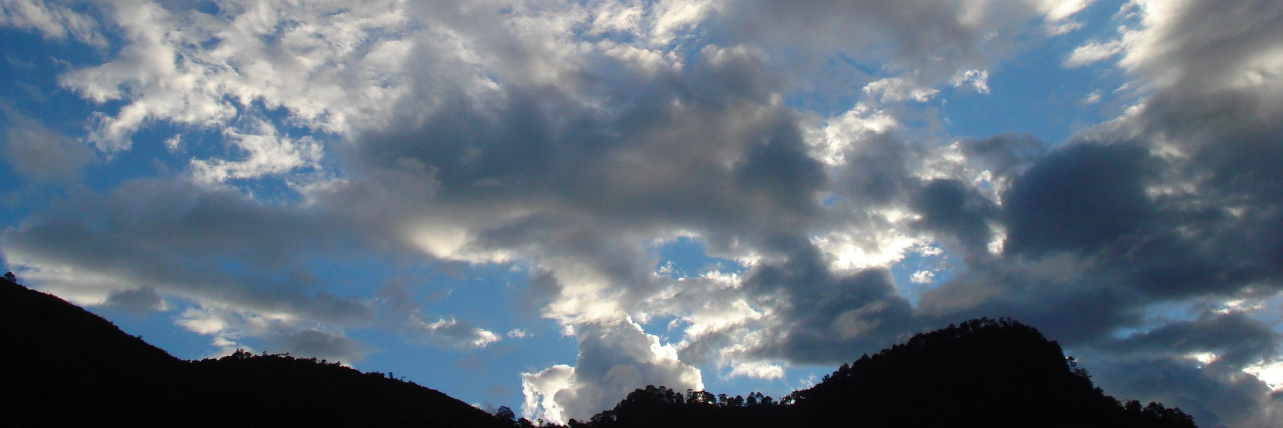 NildaM_P's profile banner image