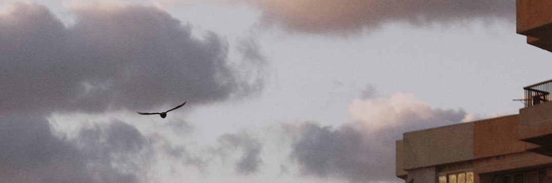 seiffossama's profile banner image