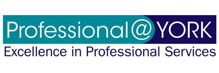 ProfessionalUOY's profile banner image