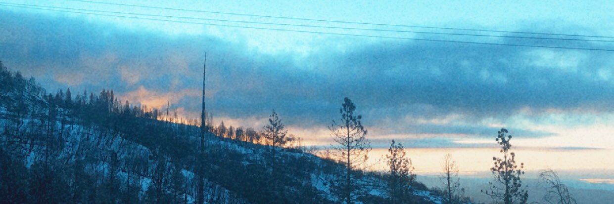 ShawnWill14's profile banner image
