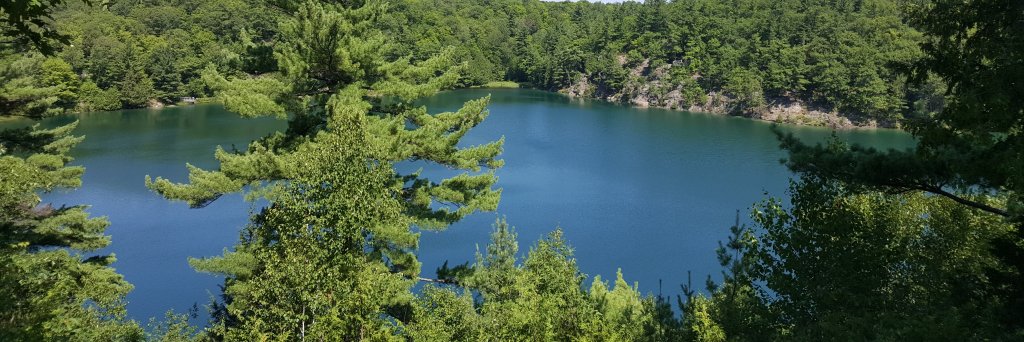 Brett Thalmann banner