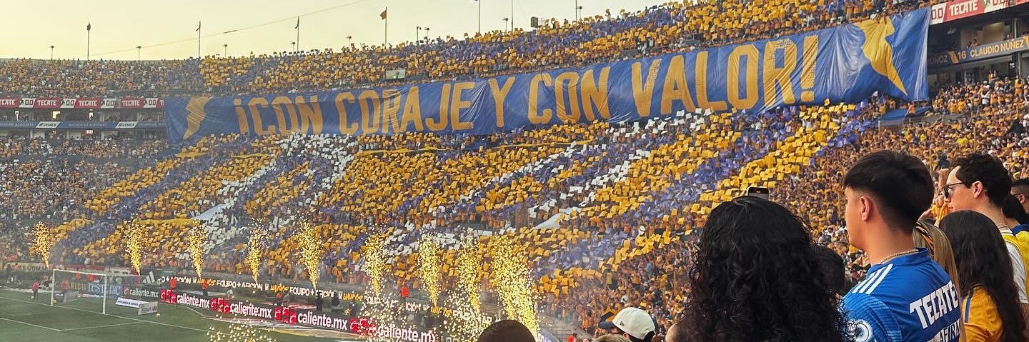 conseepcio's profile banner image