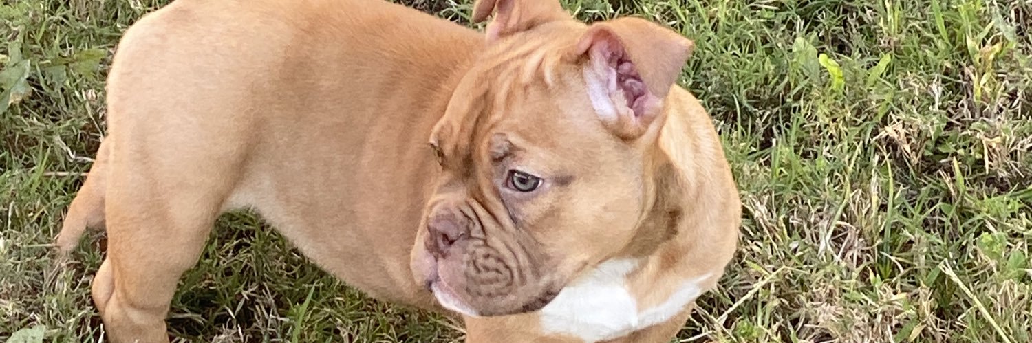 JayQuelly_'s profile banner image