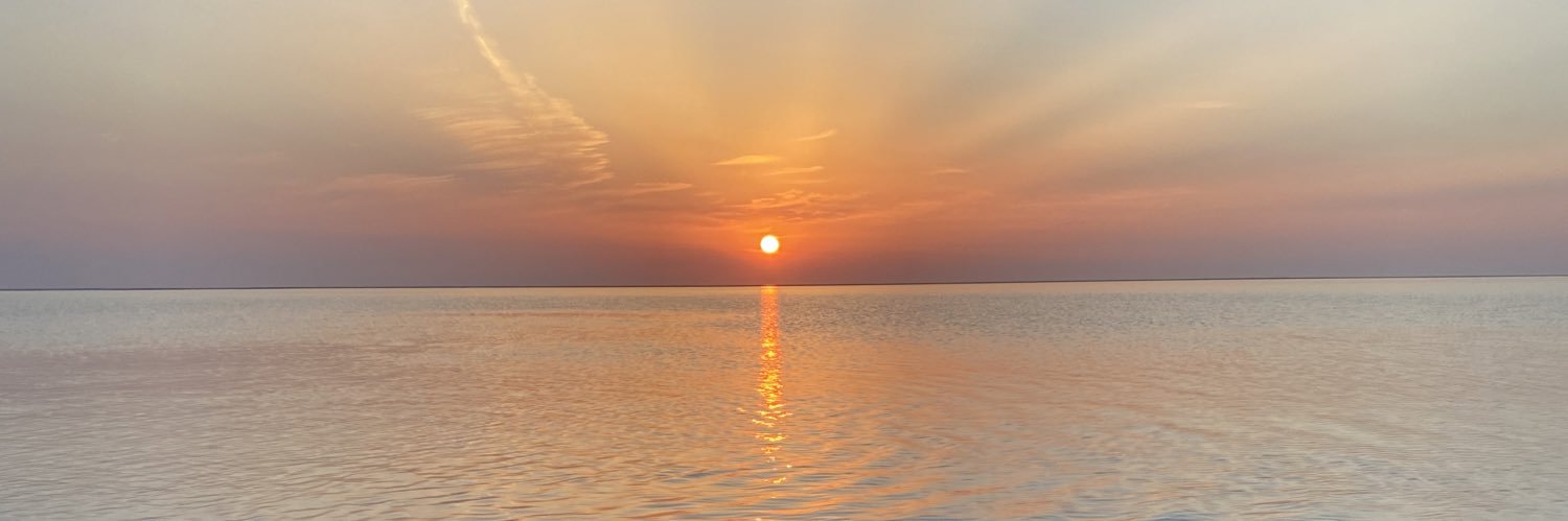 Alice Steenkamp banner