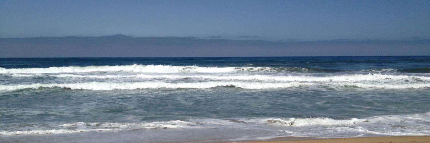 WiredCoast's profile banner image