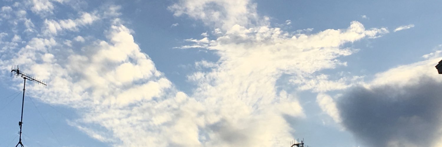 karasuouji's profile banner image