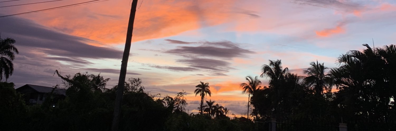 janavdl's profile banner image