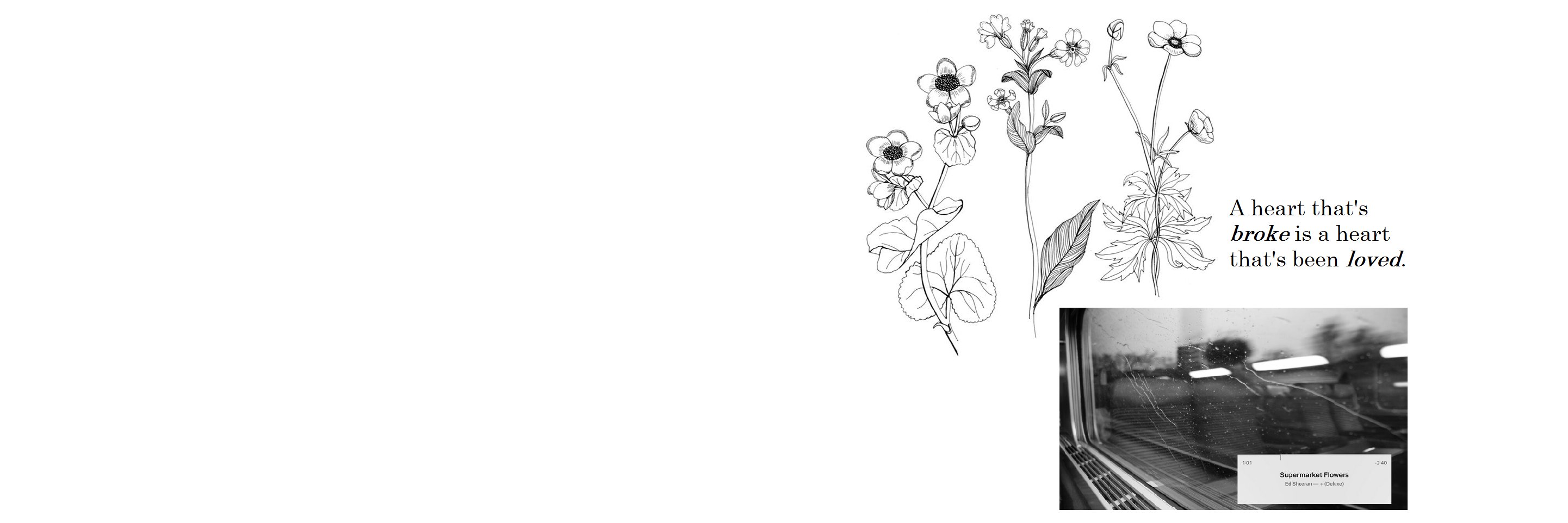 fallenforureyes's profile banner image