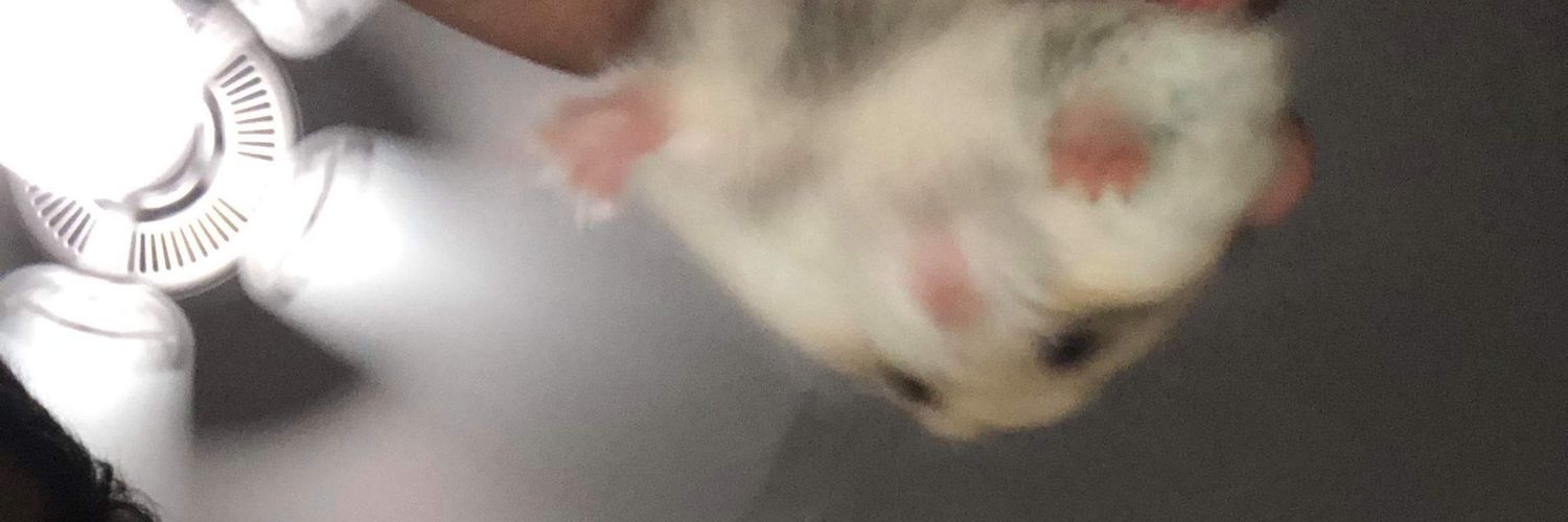 cindy_nb_'s profile banner image