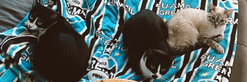 kflorianovicz's profile banner image