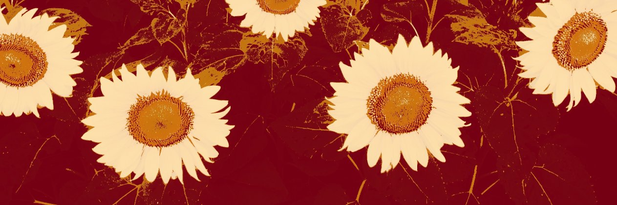 thecommonyogi's profile banner image
