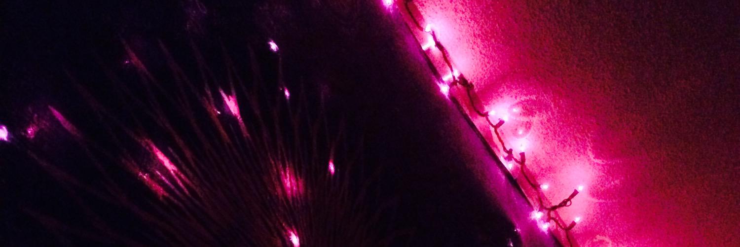 pupbastian's profile banner image