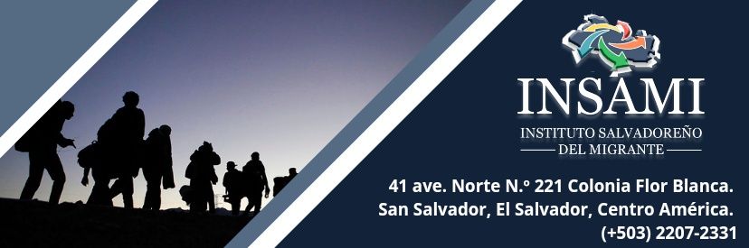 InsamiSV's profile banner image