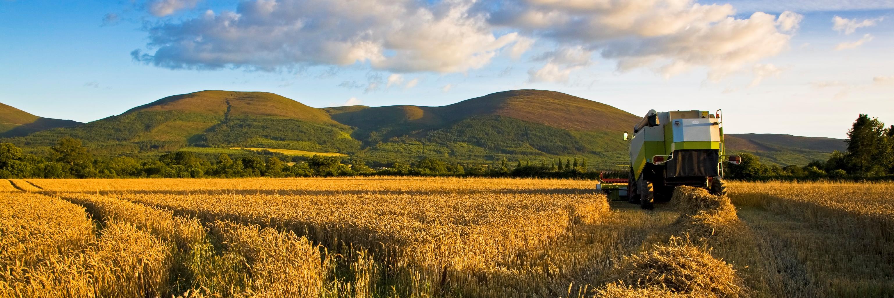SFS_Ireland's profile banner image