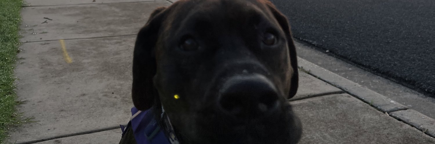 ridunn3's profile banner image