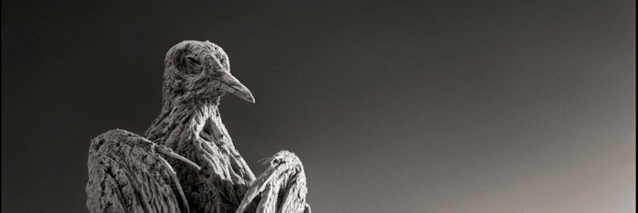 MYBASBODYX's profile banner image