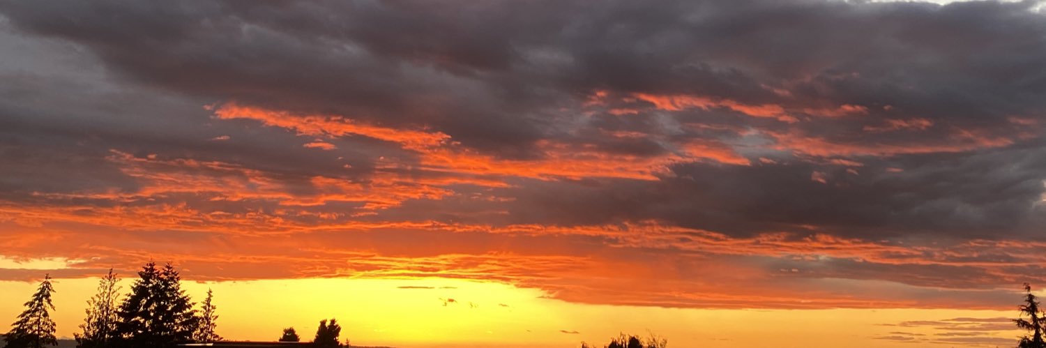 mustangshellie's profile banner image