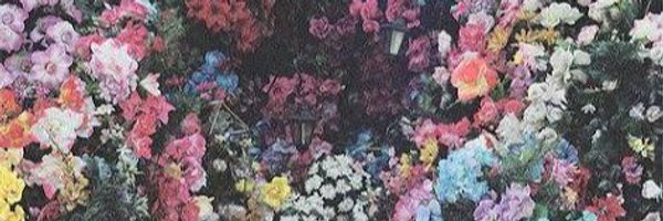 mrveakyldiz's profile banner image