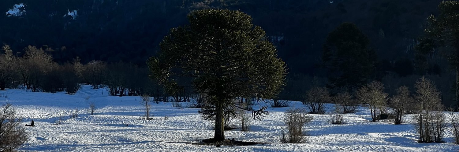 PMondaca10's profile banner image