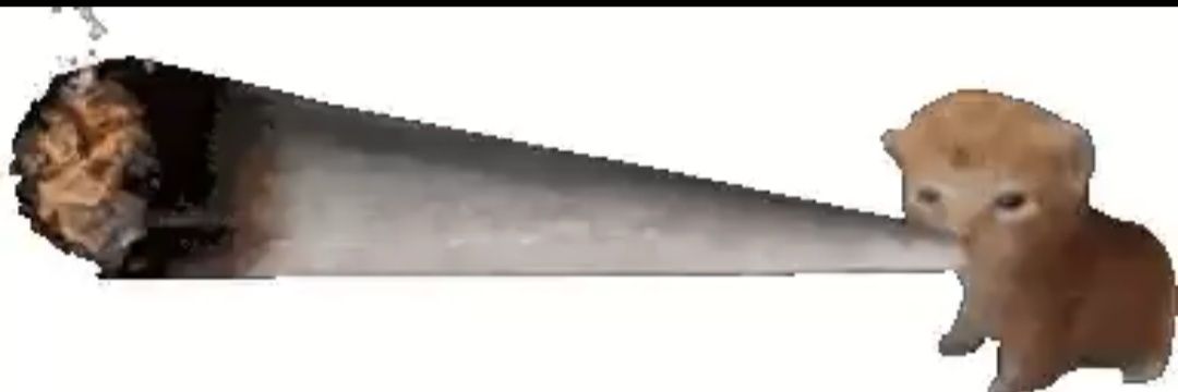 bncvdl's profile banner image
