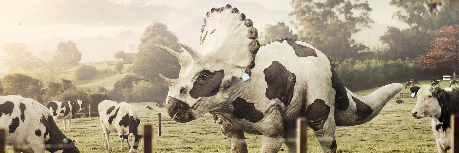 Thomas Martens banner