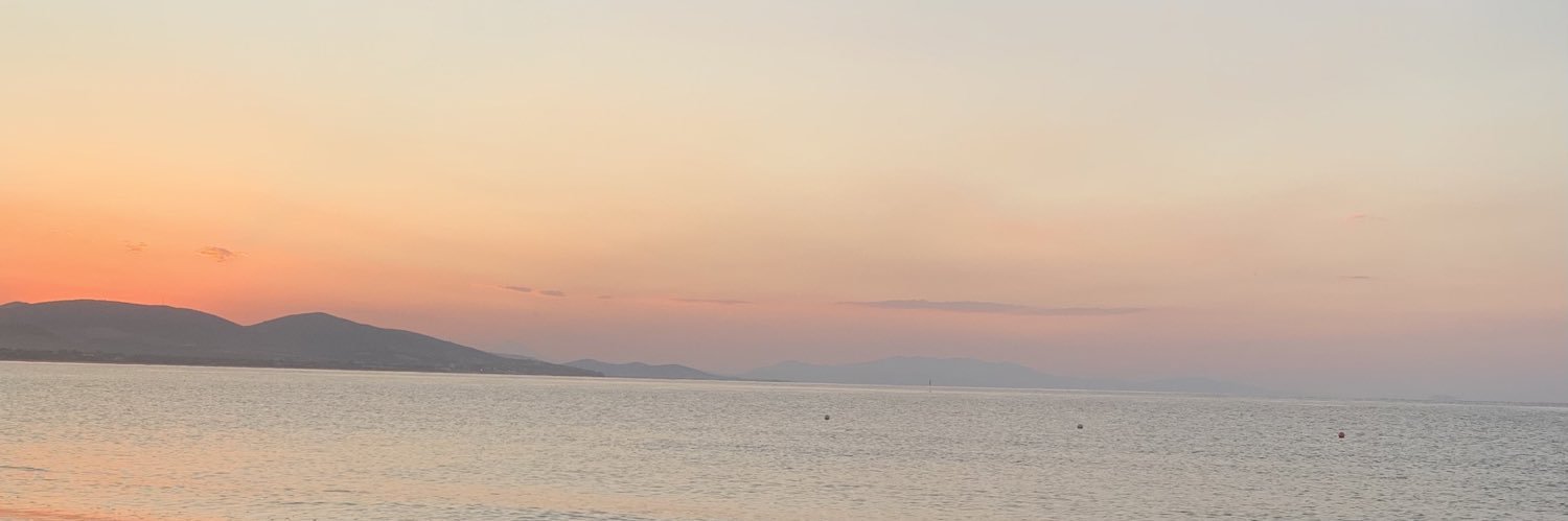 Paige Ford banner