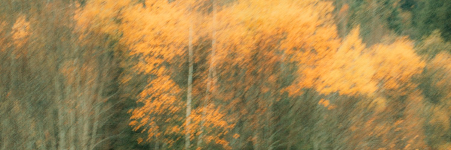 Aimevhe's profile banner image