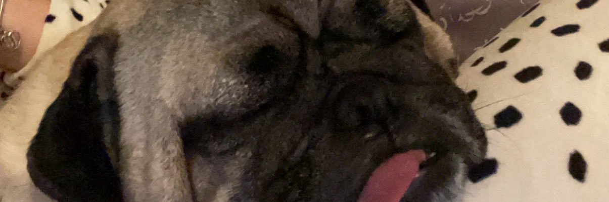 _ellemorton's profile banner image