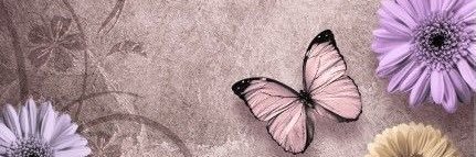 Dayanna Bernardeth banner