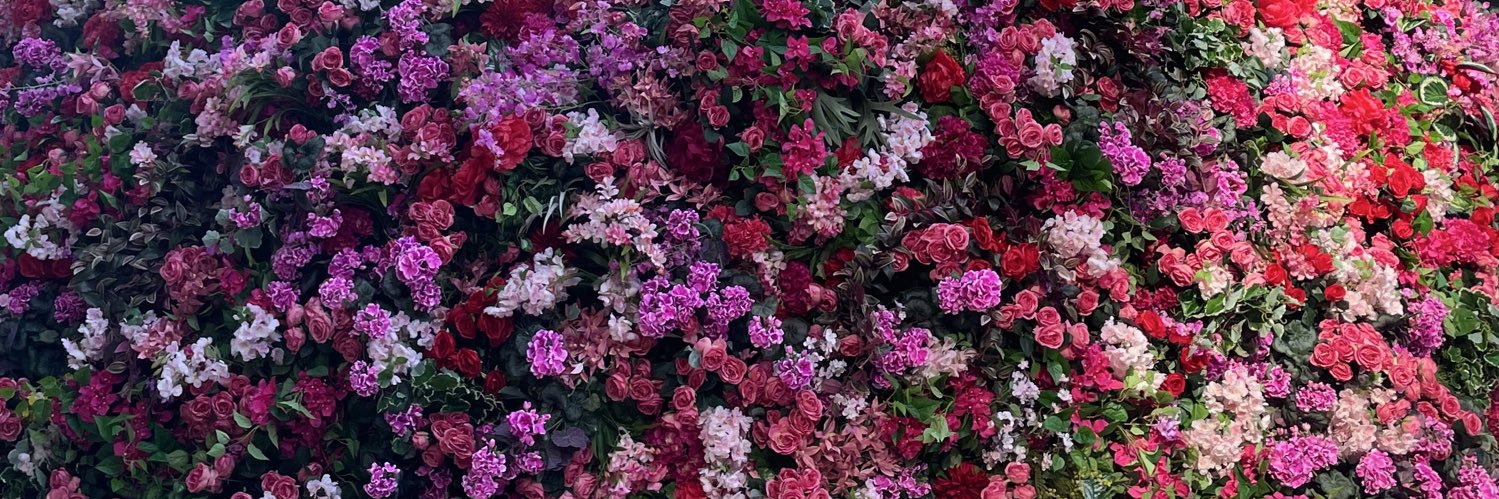 HimeElle's profile banner image
