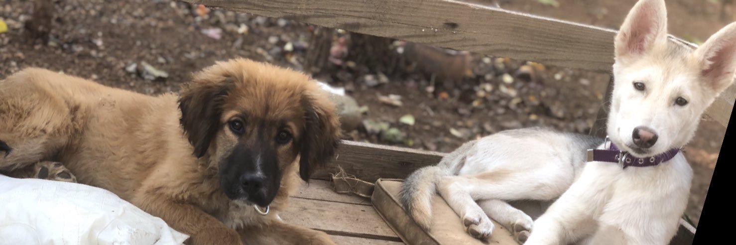TayfunBaltaoglu's profile banner image
