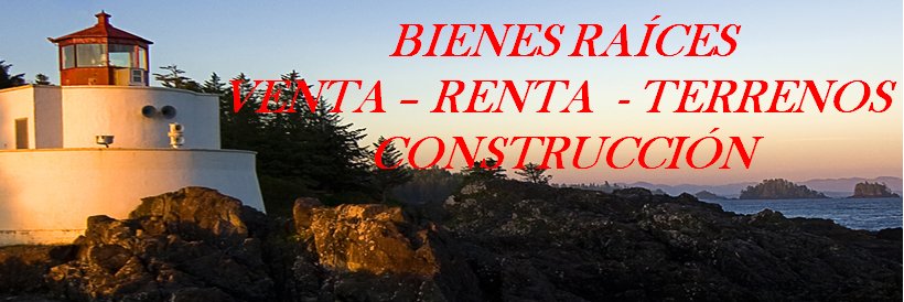Bonimer's profile banner image