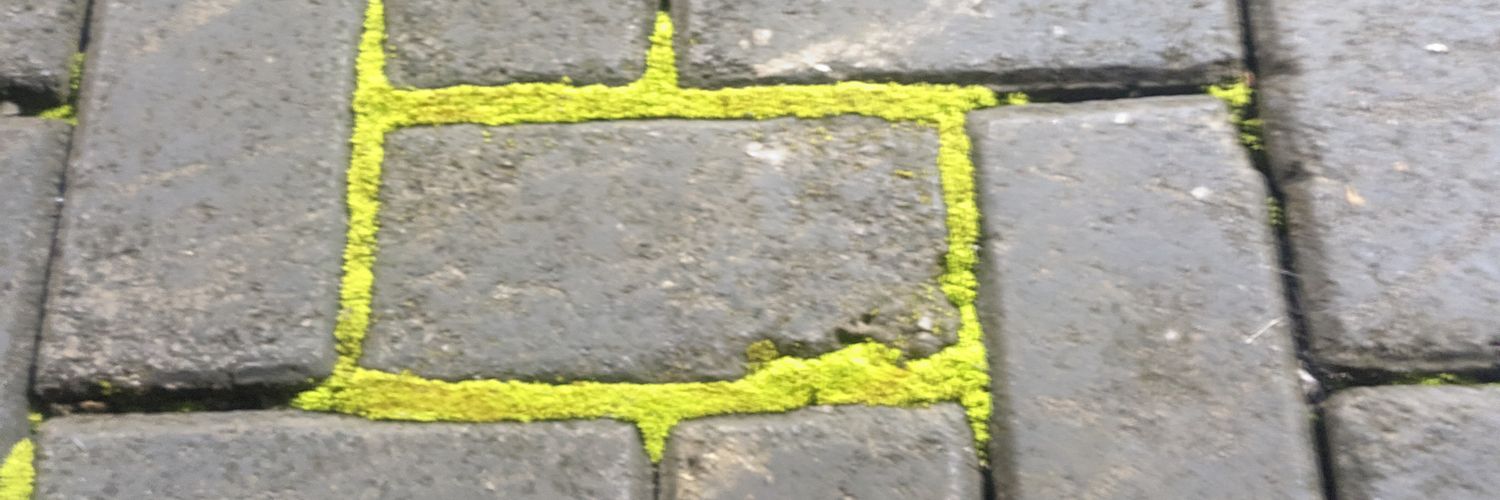 haidaralien's profile banner image
